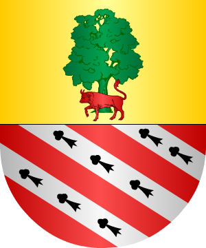 ESCUDO ALEATORIO